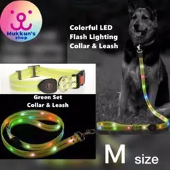【超光るリード＆首輪 グリーン】M 大型犬 目立つ カラフル 存在主張 光る
