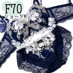 F70脇高ネイビーグラジ♥️ブラジャーショーツセット♥️エメフィール系可愛いセクシー