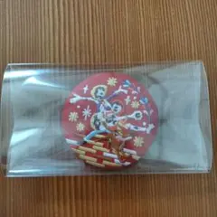 【新品未使用】ディズニー 刺繍缶バッジ2 リメンバーミー
