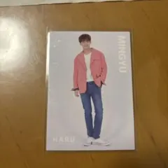 seventeen 2019ドームツアーHARU ミンギュ