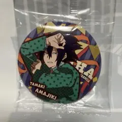 僕のヒーローアカデミア　天喰環　パーティー　缶バッジ　ガシャポン　未開封