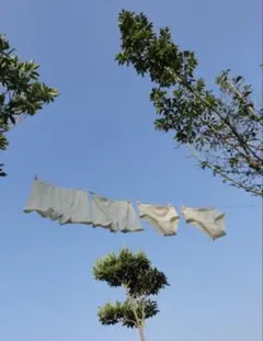 GOT認証オーガニックコットンボクサーショーツ２枚セット