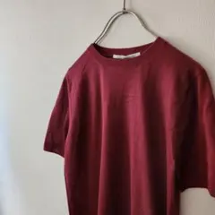 a7 良品 AGNONA/カシミヤ100％ニット 半袖トップス/セーター 42のサムネイル