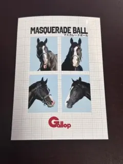 マスカレードボール　Gallop フォトプラス　名馬証明写真風