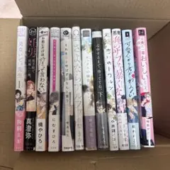 商業BLコミック12冊セット バラ売り可 - メルカリ