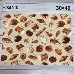 ＊341＊ハンドメイド♪ランチョンマット