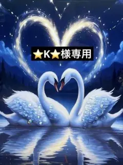 ⭐️K⭐️様　確認用❤️