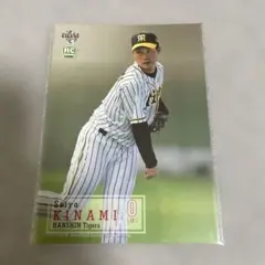 Item thumbnail for item 3e271a8a-8e4d-4636-b5dd-a6ecbbde3fd9