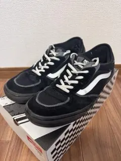 00s VANS ファットシューズ skate モデル Greeny - メルカリ