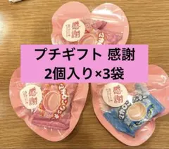 Eお菓子のプチギフト 卒園 卒業 プレゼント 2個入り×3袋 ハート 感謝 お礼