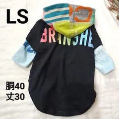 Item thumbnail for item 80e67d52-2dd5-4aaa-911a-927d266b4754