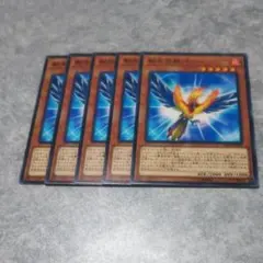 遊戯王 転生炎獣パロー5枚セット