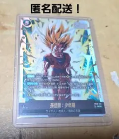 ドラゴンボール フュージョンワールド クロスフォース SCR 孫悟飯 少年