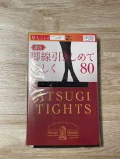 Atsugi 80デニール タイツ M-L 2足入り