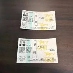 カルパ、ソダシ馬券セット
