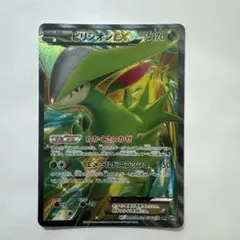 ビリジオンEX SR 1ed