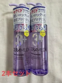 Item thumbnail for item 8333105a-ddd3-4fc1-8e73-d78346077ff2