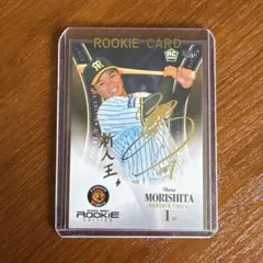 Item thumbnail for item c874dc5f-0a35-4596-a47c-7ff261caa560