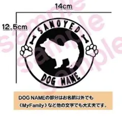 Item thumbnail for item 1f66cc79-517d-49de-8d26-e447ae94271a