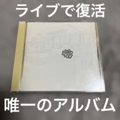 2026年最新】steady&co.の人気アイテム - メルカリ