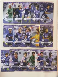 サンフレッチェ広島レジーナ 第2弾オンサイトカード+グッズセット