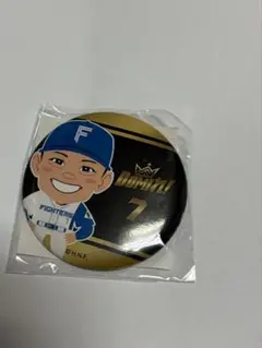 北海道日本ハムファイターズ 缶バッジ ファイターズガチャ　西川遥輝のサムネイル