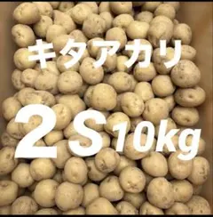키타 아카리 2S 사이즈 10kg
