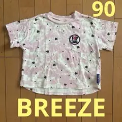 Baskin Robbins サーティワンTシャツ90のサムネイル