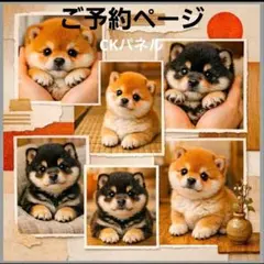 ハンドメイドオーダー受け付け(マルチーズ、ポメラニアン、チワワ