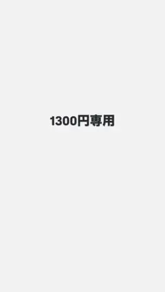 1300円専用アイテム