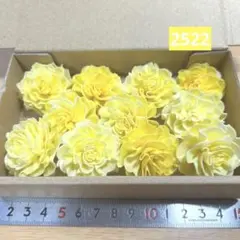 ソラフラワー　2522