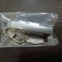 too cool for school キーホルダー シルバー