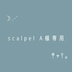 scalpel A様専用ページ