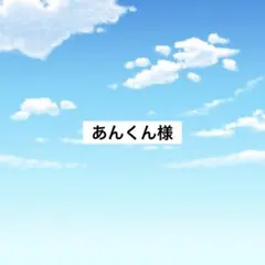 アメステ　あんくん様