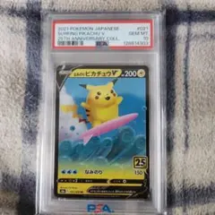 2026年最新】なみのりピカチュウv psa10の人気アイテム - メルカリ