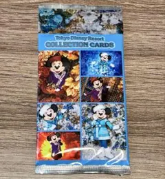 イマジニングザマジック ディズニー コレクションカード ミニー