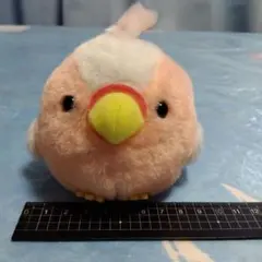 2025年最新】ことり隊 インコの人気アイテム - メルカリ