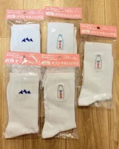 evian オリジナルソックス 5足セット Lサイズ 25-28cm