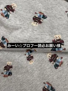 ✴︎専用✴︎ポロ　ラルフローレン　ニット生地　薄いグレー