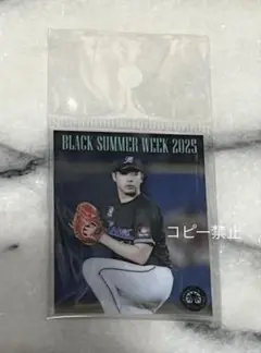 千葉ロッテマリーンズ＊種市篤暉＊ステッカー＊BSW＊新品未使用