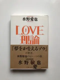 LOVE理論 水野愛也