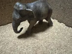 シュライヒ　アジアゾウ　フィギュア 約12cm