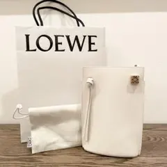 試着のみ⭐︎ロエベ ダイスポケット（クラシックカーフ）ショルダーバッグLOEWE