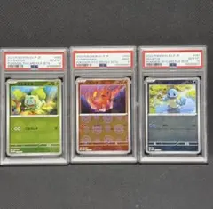 PSA7•8•9連番】サトシのキモリハルカのアチャモ タケシのミズゴロウ