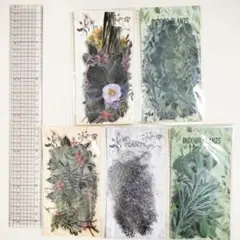 フラワー＆ボタニカル PETステッカー 5種（200枚）セット