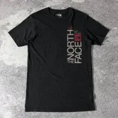 ノースフェイス Tシャツ スリムフィット グレー Sのサムネイル