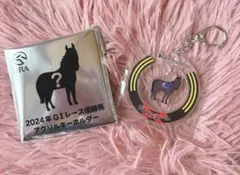 JRA 2024GIレース優勝馬 ウェルカムチャンス　クロワデュノール