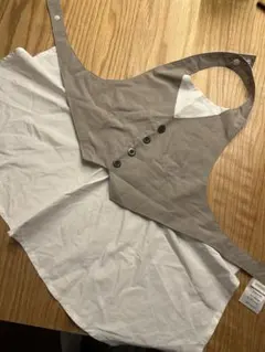 Item thumbnail for item 6257a526-1fe0-46f4-a72b-295b84e5c749