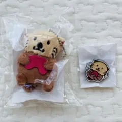【新品】ラッコ ぬいぐるみキーホルダー ピンバッジ セット