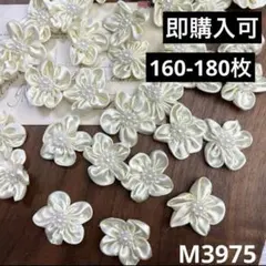 Item thumbnail for item 05b5ac11-ec62-4ada-9dc8-4ec715096b8c